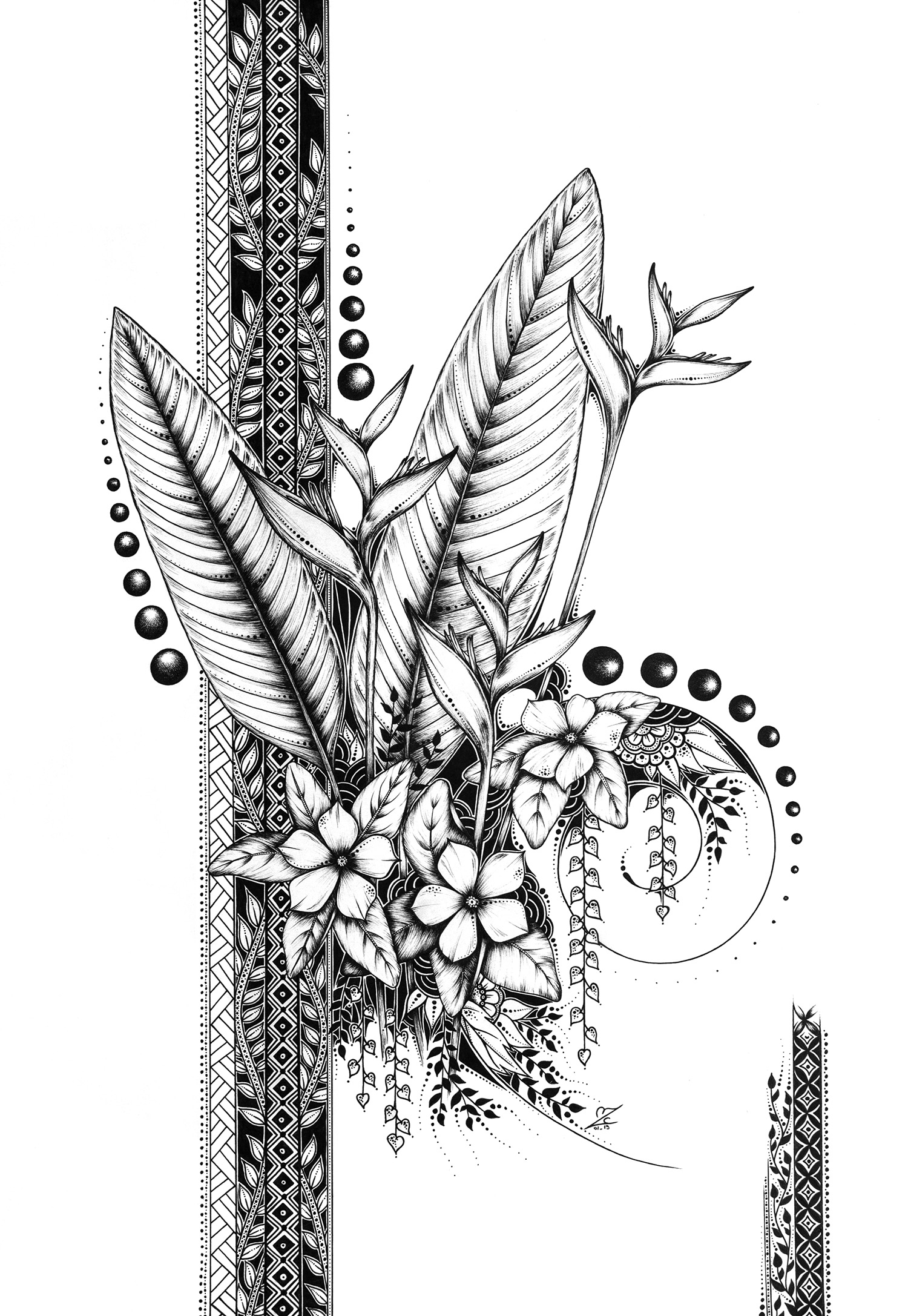 Heliconia & Perwinkles - Original Drawing 42cmx30xm - Sold
