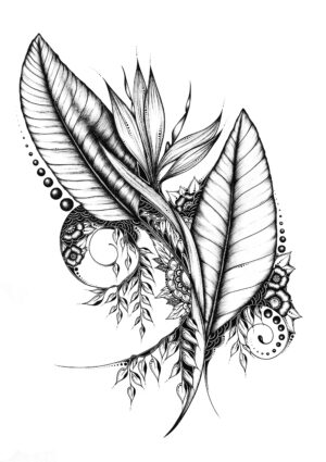 Oiseaux du Paradis