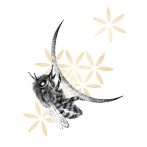 L’Abeille et la Lune