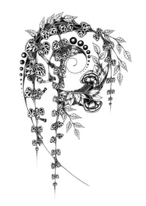Ceropegia
