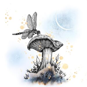 La Libellule et le Champignon
