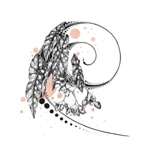 Tamaya 1