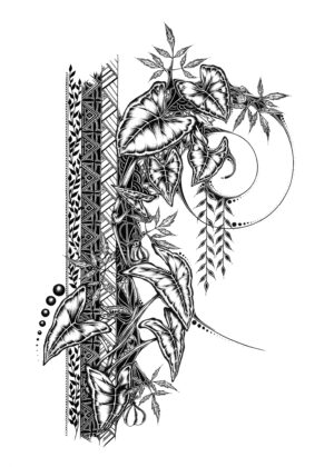 Syngonium